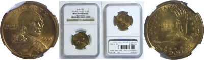 2000-P. NGC. MS-65. Dollar. Clipped Planchet.